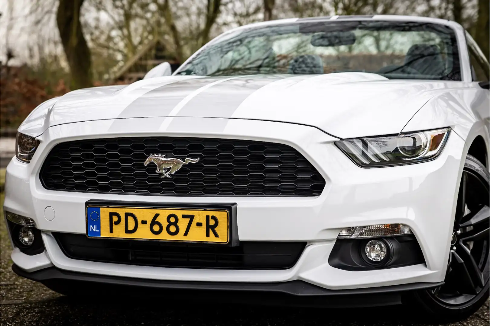 Ford Mustang Convertible 2.3 EcoBoost Stoelventilatie Shaker Au White - 2