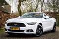 Ford Mustang Convertible 2.3 EcoBoost Stoelventilatie Shaker Au White - thumbnail 1