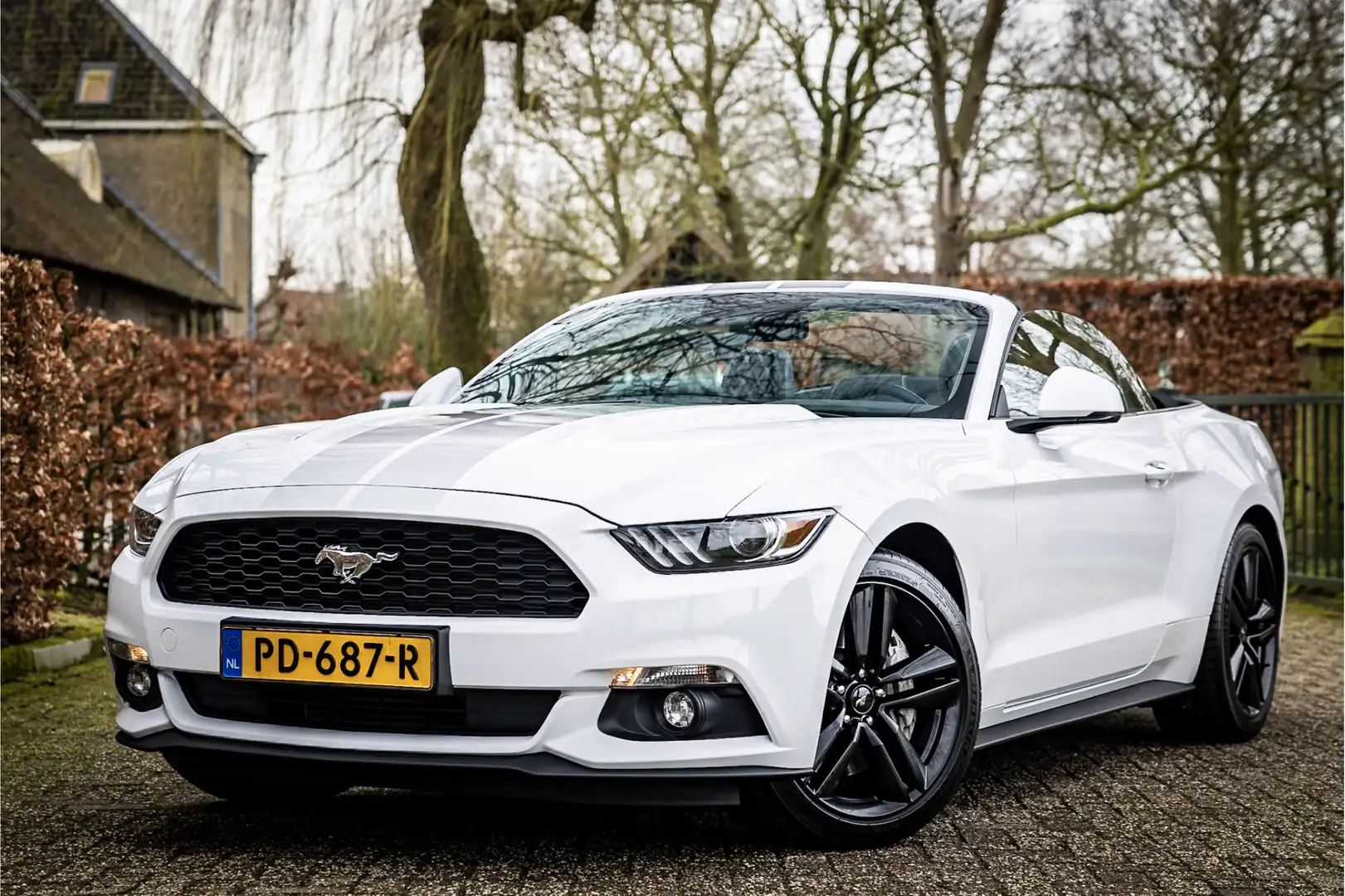 Ford Mustang Convertible 2.3 EcoBoost Stoelventilatie Shaker Au White - 1
