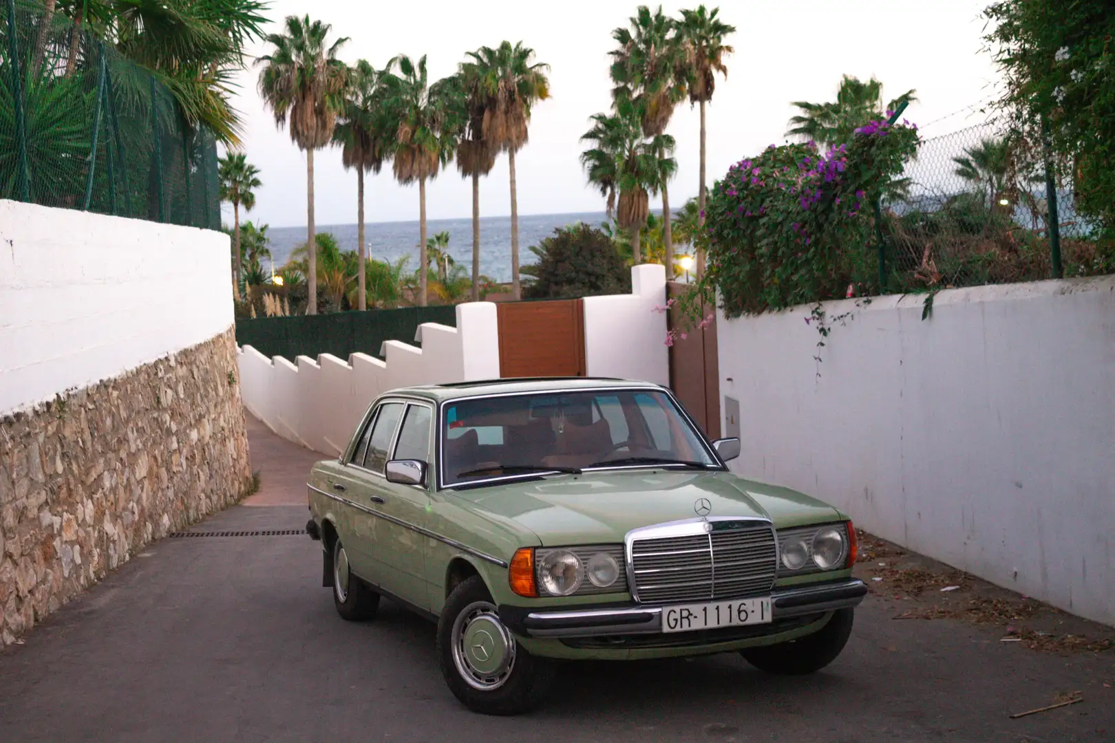 Mercedes-Benz 240 240 D Zöld - 2