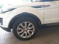 Land Rover Range Rover Evoque Range Rover Evoque 2.0 TD4 150 CV 5p. HSE Blanc - thumbnail 15