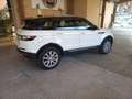 Land Rover Range Rover Evoque Range Rover Evoque 2.0 TD4 150 CV 5p. HSE Blanc - thumbnail 5