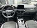Ford Kuga PHEV ST-Line Navi Kamera 2xPDC Sitzheiz. Bleu - thumbnail 11
