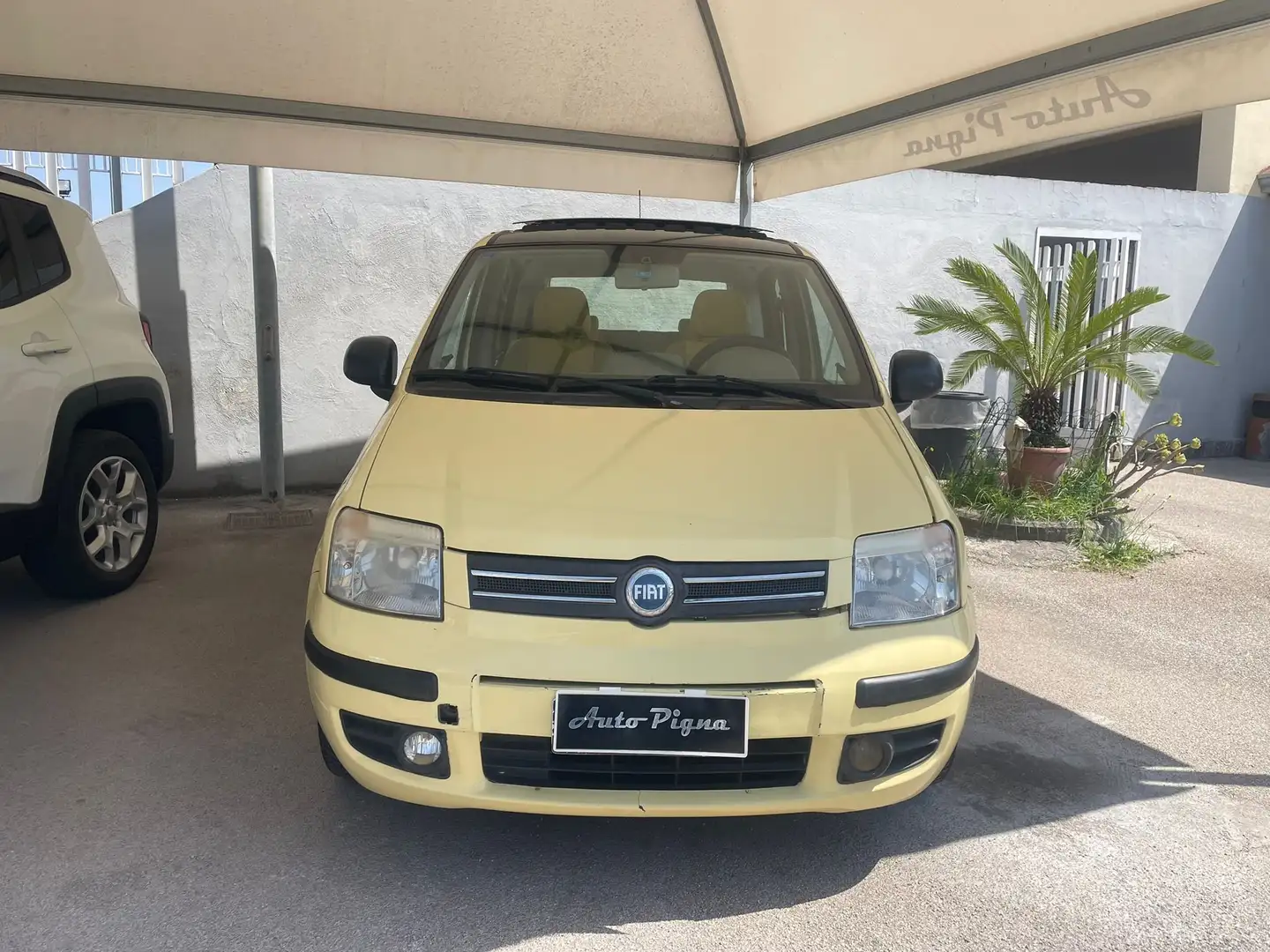 Fiat Panda Panda 1.2 Dynamic Sky Giallo - 2