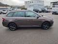 Skoda Fabia Combi Style 1,2 TSI 90PS Marrone - thumbnail 5