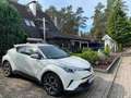 Toyota C-HR Hybrid Team Deutschland Weiß - thumbnail 1
