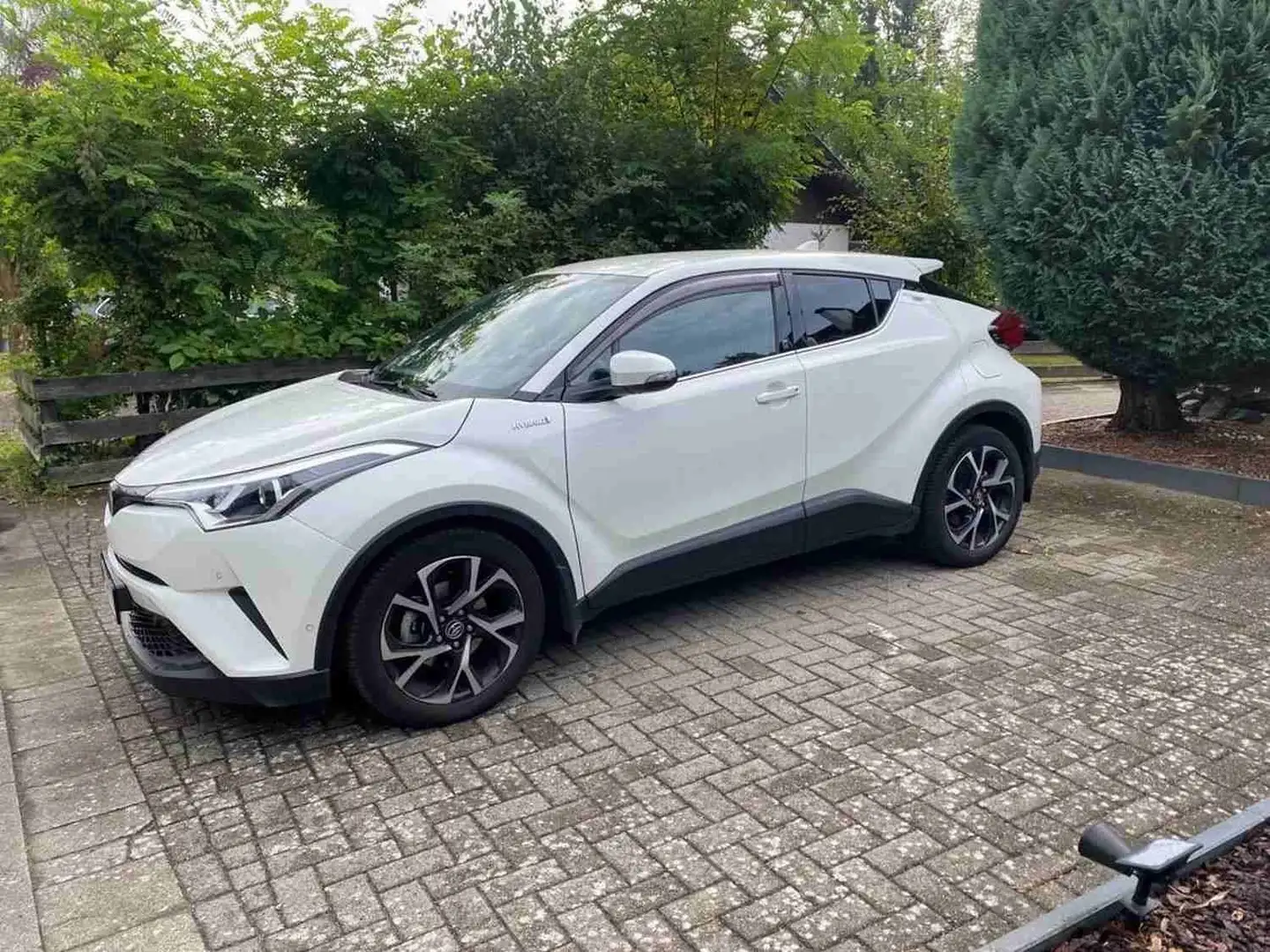 Toyota C-HR Hybrid Team Deutschland Weiß - 2