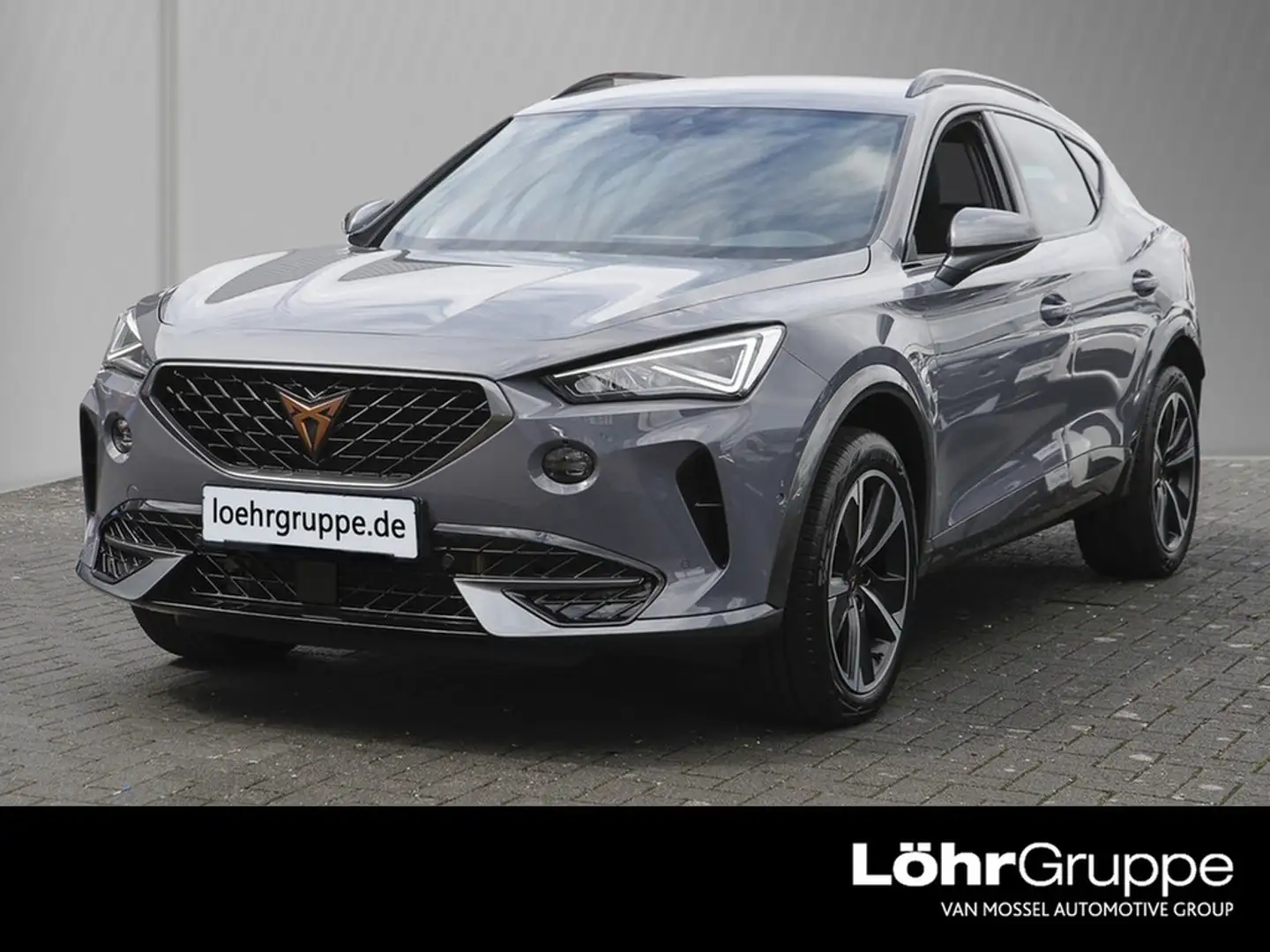 CUPRA Formentor 2.0 TDI DSG 4Drive AHK/RFK/Navi Grau - 1