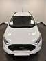 Ford EcoSport 1.0 EcoBoost ST Line 140 Blanc - thumbnail 13