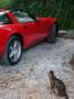 Corvette C4 ZR1 Rosso - thumbnail 8