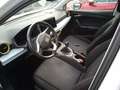 SEAT Arona 1.0 TSI 81kW (110CV) Style Plus Blanc - thumbnail 7