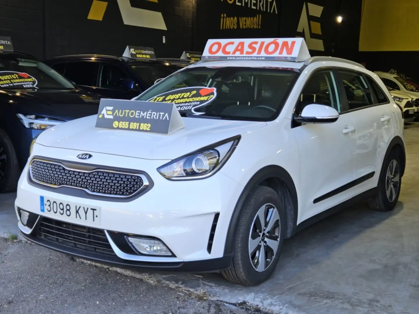 Kia Niro 1.6 HEV Business Blanco - 2