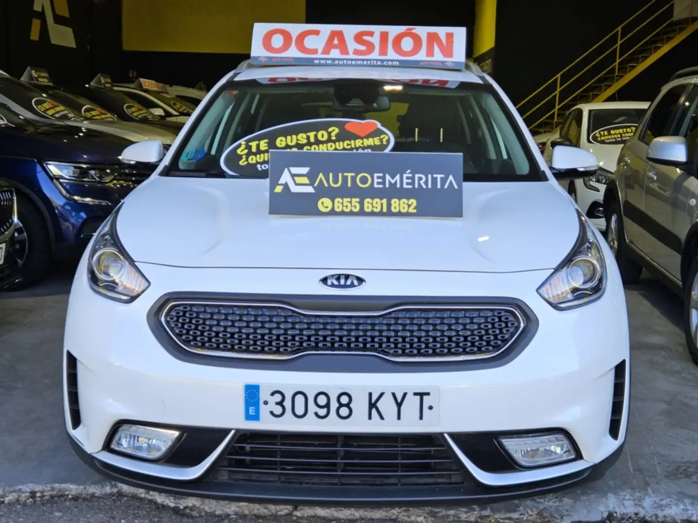 Kia Niro 1.6 HEV Business Blanco - 1