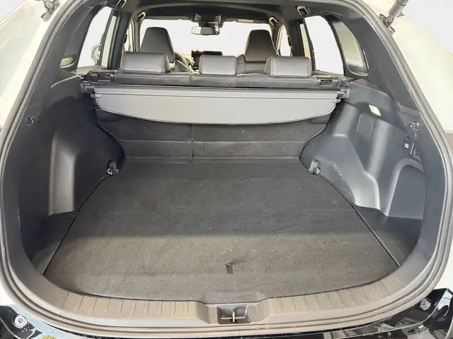 Suzuki Across view 11