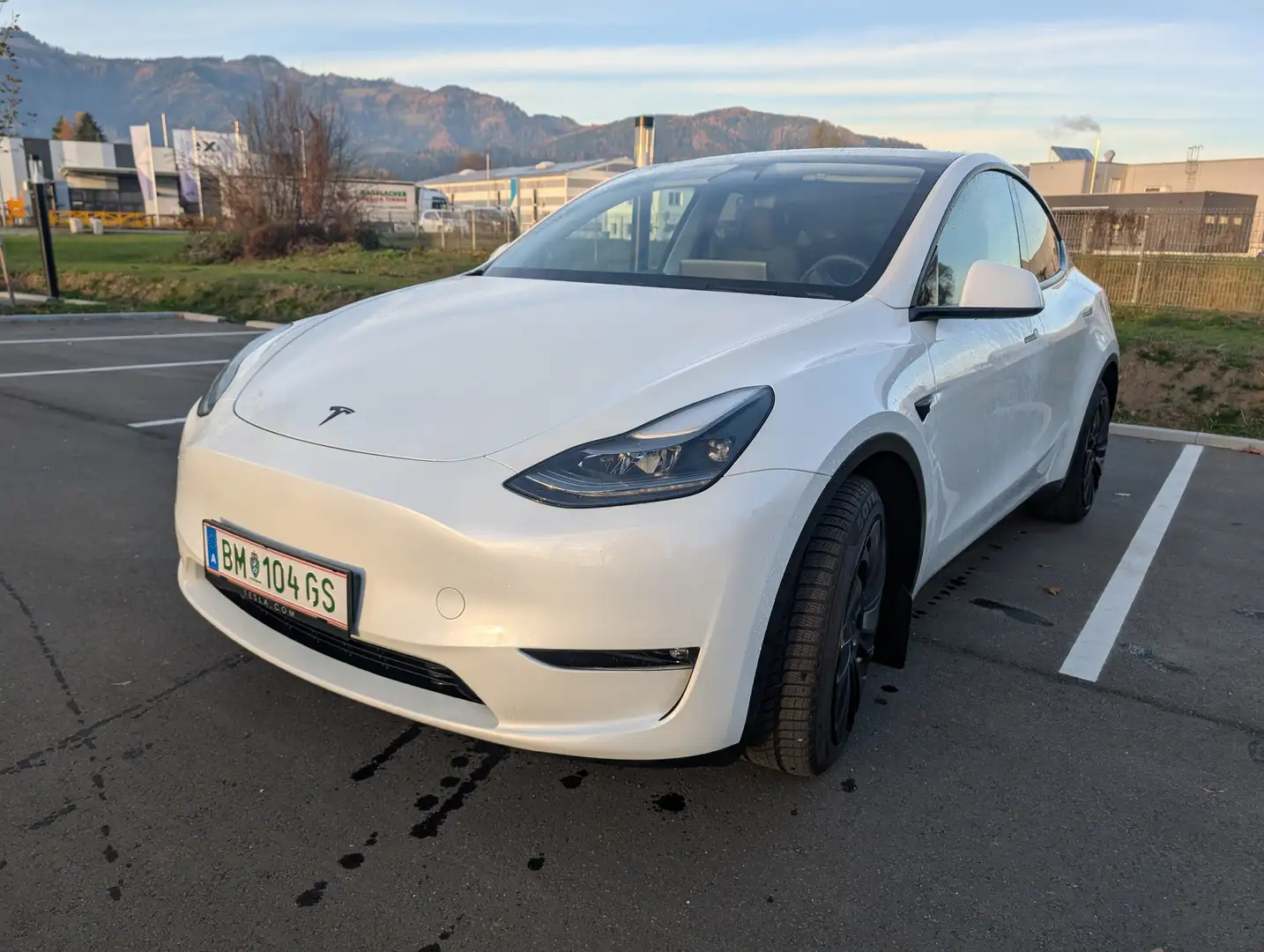 Tesla Model Y Model Y Long Range AWD 79kWh Weiß - 1