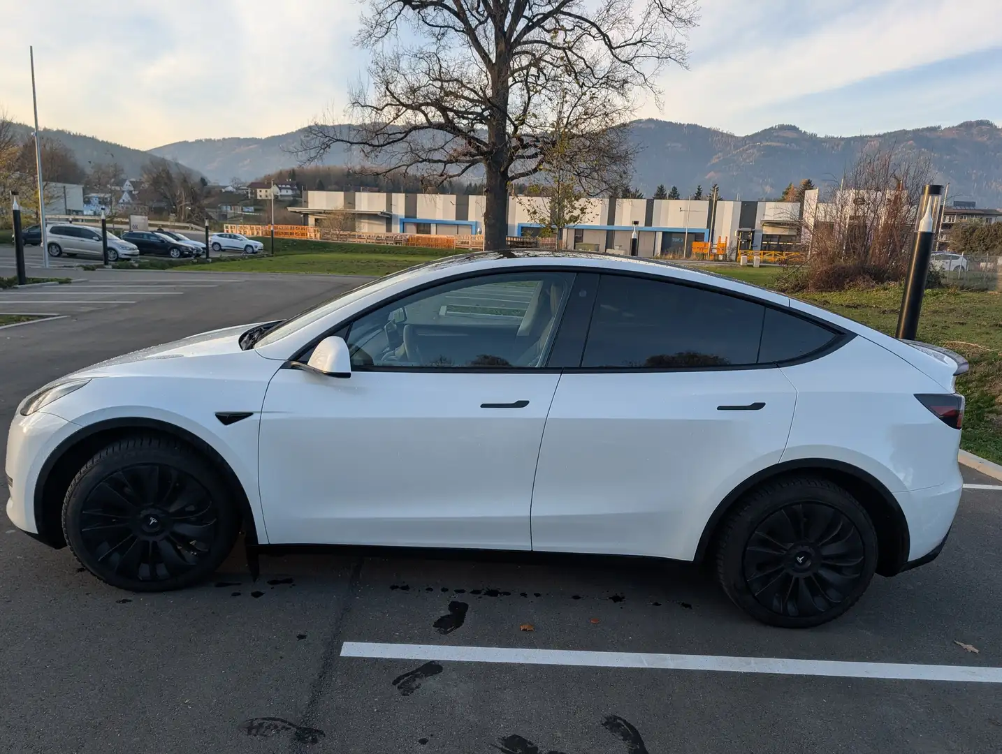 Tesla Model Y Model Y Long Range AWD 79kWh Weiß - 2