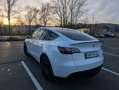 Tesla Model Y Model Y Long Range AWD 79kWh Weiß - thumbnail 4