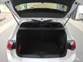 Volkswagen Golf R VIII 2.0TSI 4M DSG / Navi, LED+, RFK, ACC Weiß - thumbnail 6