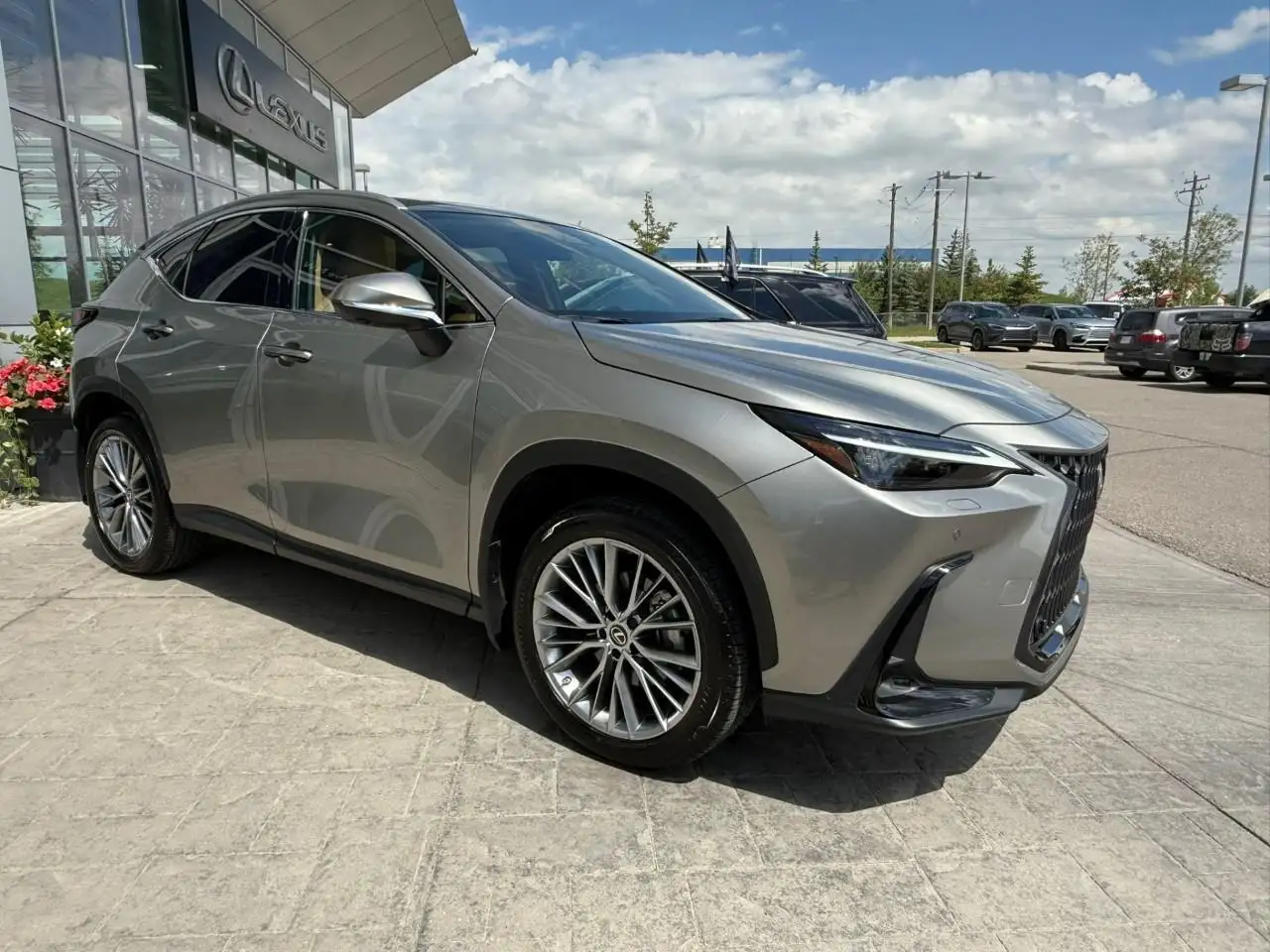 Lexus NX fotografie Lexus NX