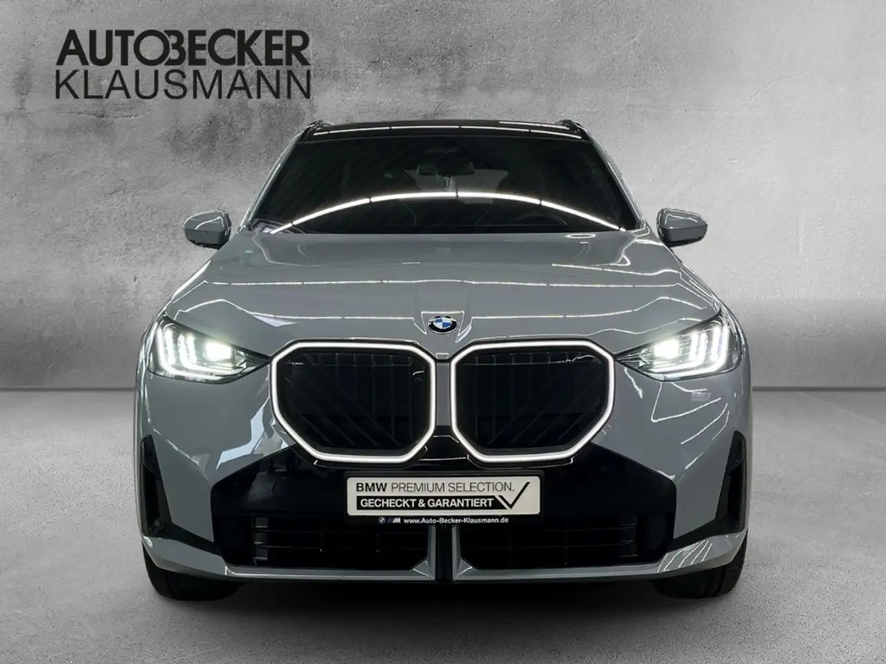 BMW X3 xDRIVE 30e M SPORT AUTOMATIK 19''LC PROF AHK KAMER 5