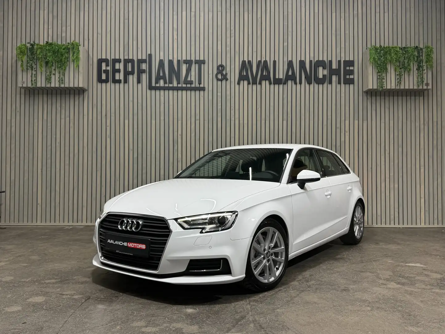 Audi A3 Sportback 1,6TDI 2-Zonen SHZ Tempomat Schalter FIS Weiß - 2