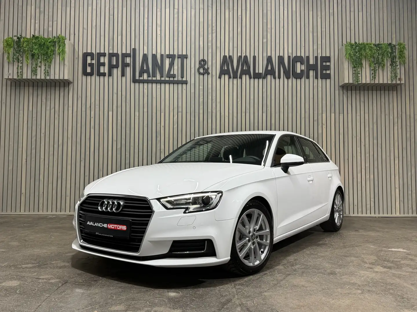 Audi A3 Sportback 1,6TDI 2-Zonen SHZ Tempomat Schalter FIS Weiß - 1