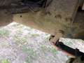 Land Rover Sonstige 7 persoons - thumbnail 11