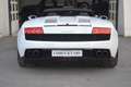 Lamborghini Gallardo LP 560-4 White - thumbnail 10