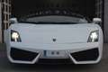 Lamborghini Gallardo LP 560-4 Blanc - thumbnail 4