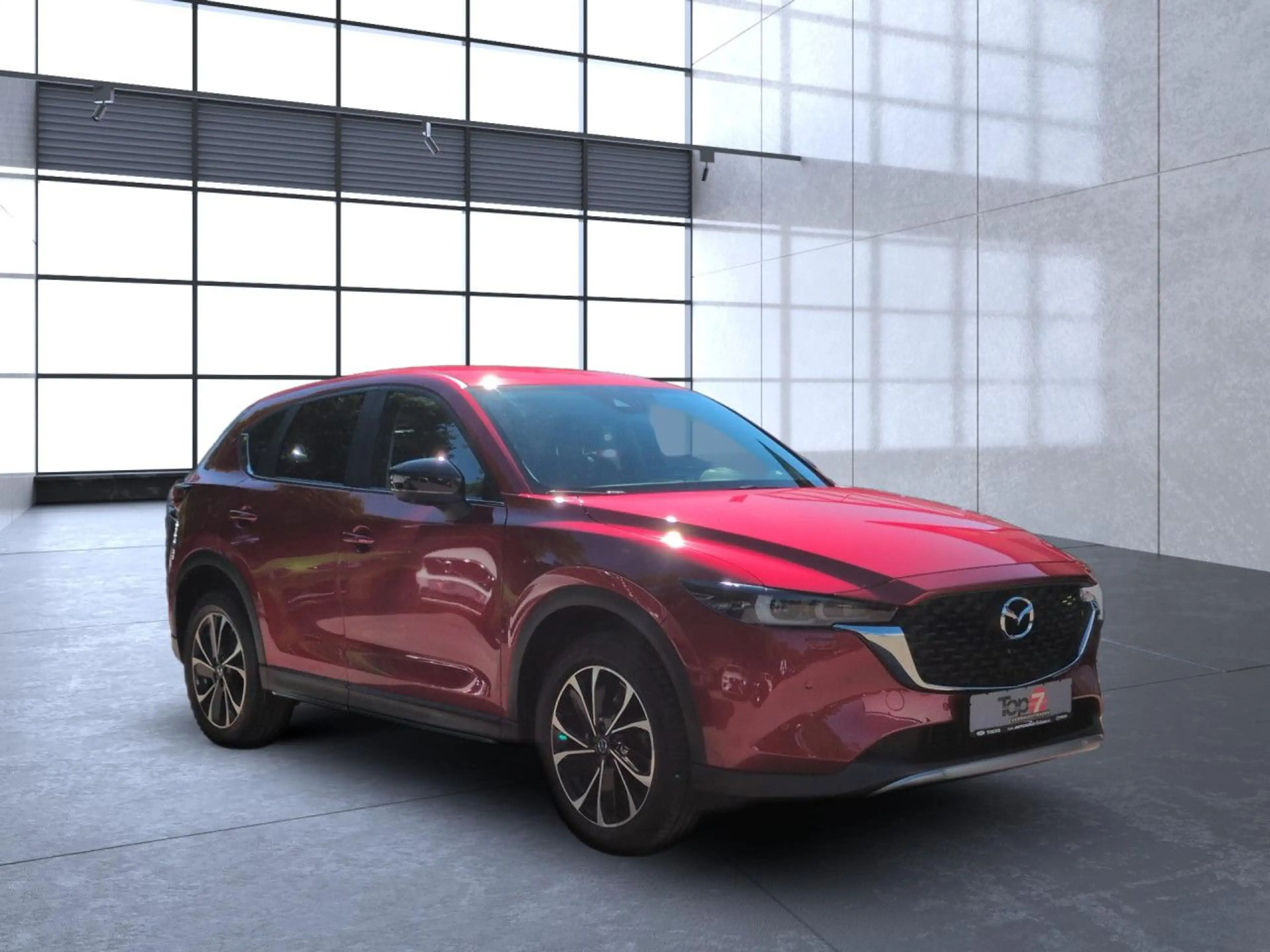 Mazda CX-5 2.5 SKYACTIV-G Newground AWD Automatik Navi — photo 5