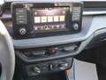 Skoda Fabia 1.0 MPI 80CH ACTIVE *TVA RECUPERABLE* Gris - thumbnail 7