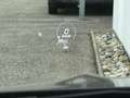 Mercedes-Benz CLA 250 e PHEV SB Aut.| Widescreen |LED| ACC |Ambiente| Schwarz - thumbnail 29