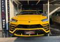 Lamborghini Urus 4.0 - thumbnail 7