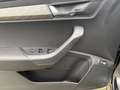 Skoda Karoq 4x4 Selection TDI DSG Grau - thumbnail 13