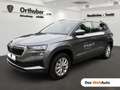 Skoda Karoq 4x4 Selection TDI DSG Grau - thumbnail 1
