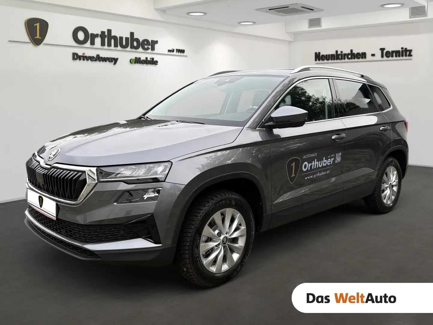 Skoda Karoq 4x4 Selection TDI DSG Grau - 1