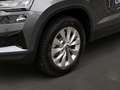 Skoda Karoq 4x4 Selection TDI DSG Grau - thumbnail 8