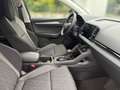 Skoda Karoq 4x4 Selection TDI DSG Grau - thumbnail 12