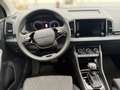 Skoda Karoq 4x4 Selection TDI DSG Grau - thumbnail 14
