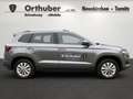 Skoda Karoq 4x4 Selection TDI DSG Grau - thumbnail 3