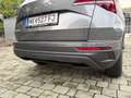 Skoda Karoq 4x4 Selection TDI DSG Grau - thumbnail 11