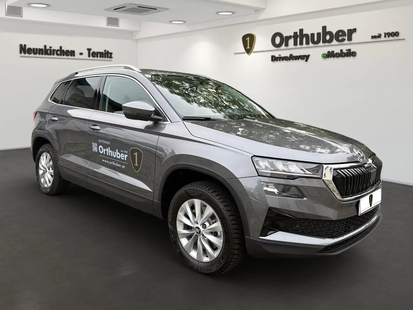 Skoda Karoq 4x4 Selection TDI DSG Grau - 2