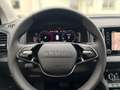 Skoda Karoq 4x4 Selection TDI DSG Grau - thumbnail 15