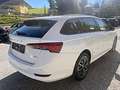 Skoda Octavia Combi Ambition Clever 4x4 2,0 TDI DSG Weiß - thumbnail 4