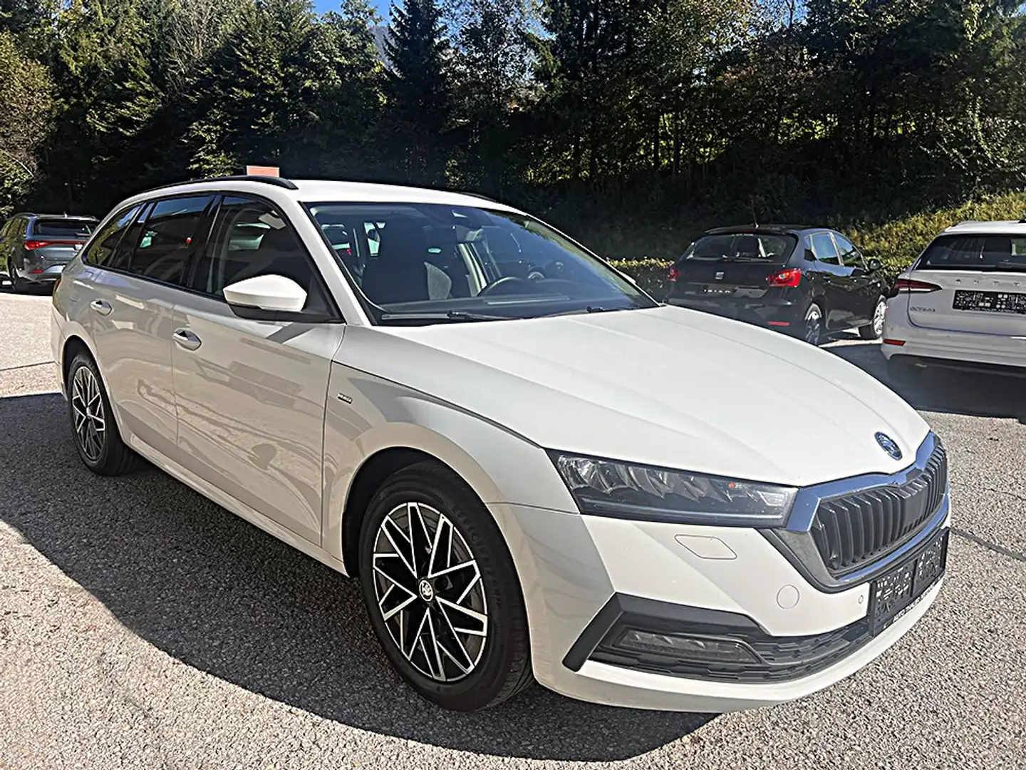 Skoda Octavia Combi Ambition Clever 4x4 2,0 TDI DSG Weiß - 2