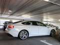 Audi A5 35 TDI S line Pano AHK Standheizung Weiß - thumbnail 6
