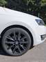 Skoda Rapid/Spaceback Rapid Spaceback 1,0 TSI Sport Sport Weiß - thumbnail 3
