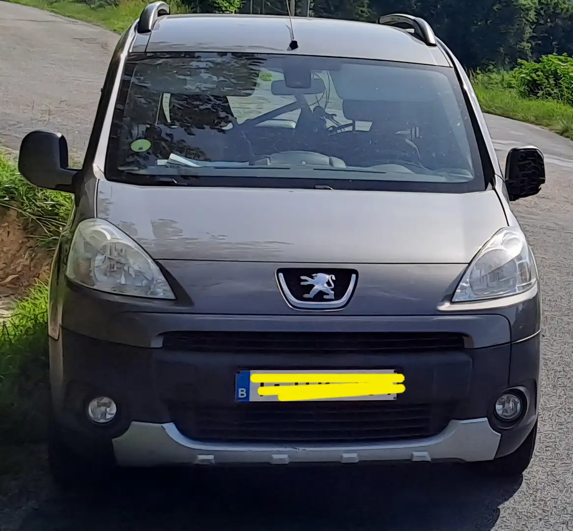 Peugeot Partner Partner Tepee 1.6 HDi Premium Gris - 1