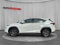 Lexus NX 300h Lexus NX300H Executive Weiß - thumbnail 3