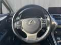 Lexus NX 300h Lexus NX300H Executive Weiß - thumbnail 8